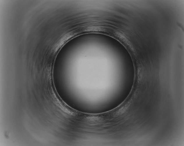 X0000103431033200809121325