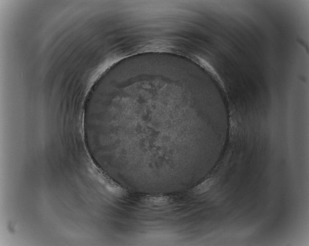 X0000103431035200809121325