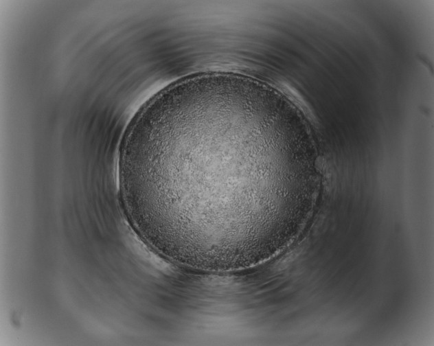 X0000103431036200809121325