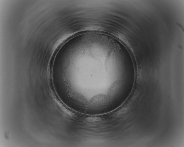 X0000103431037200809121325