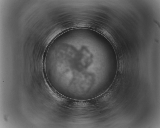 X0000103431039200809121325