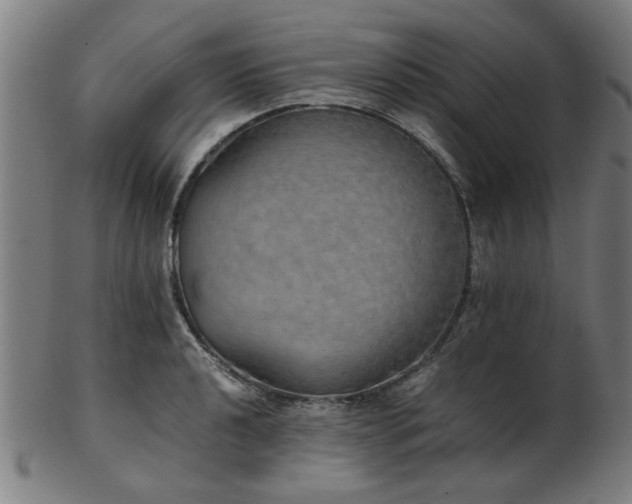 X0000103431040200809121325