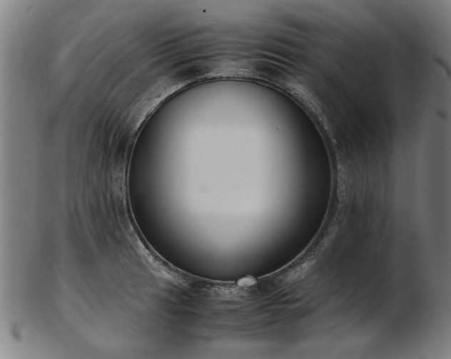 X0000103431041200809121325