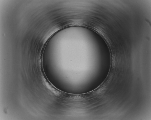 X0000103431042200809121325