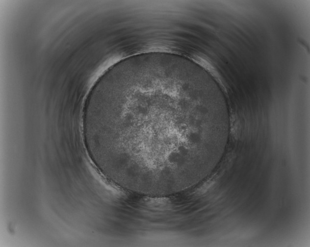 X0000103431043200809121325