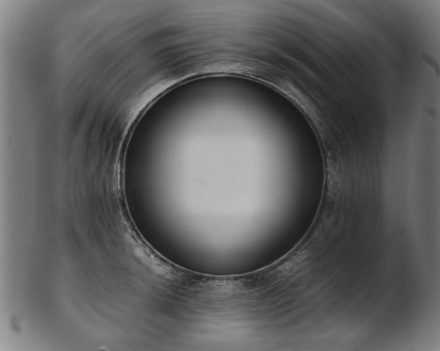 X0000103431044200809121325