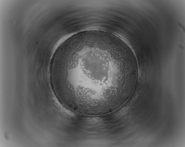X0000103431045200809121325