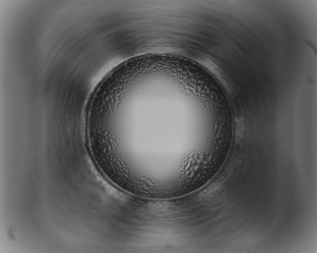X0000103431046200809121325