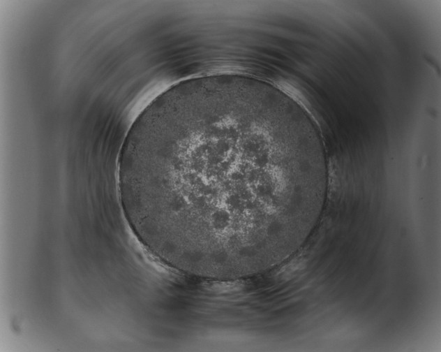 X0000103431047200809121325
