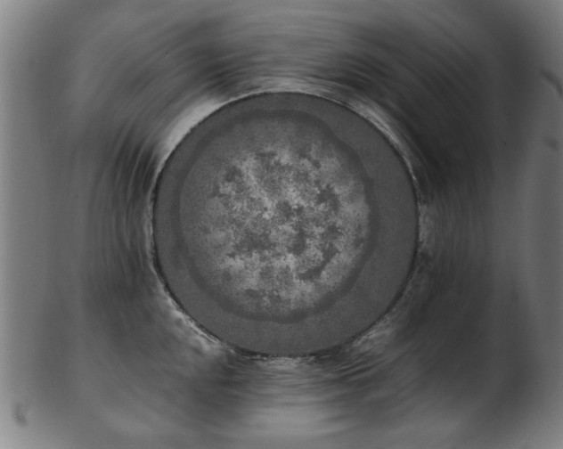 X0000103431048200809121325