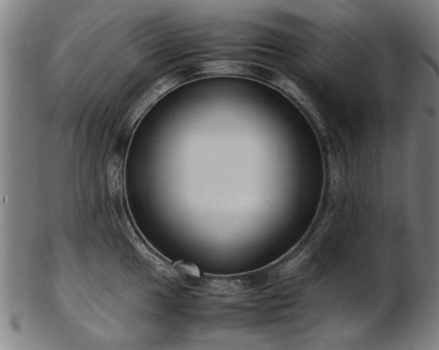 X0000103431049200809121325