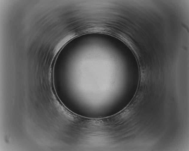 X0000103431050200809121325