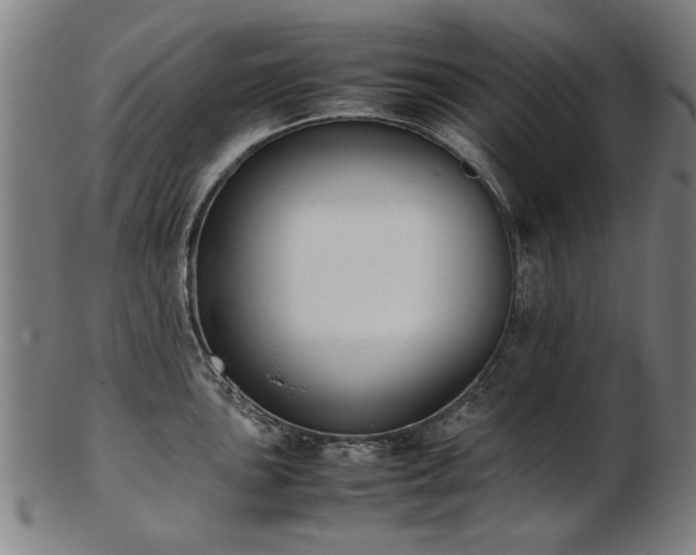 X0000103431051200809121325