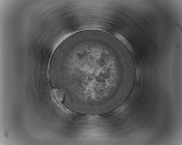 X0000103431052200809121325