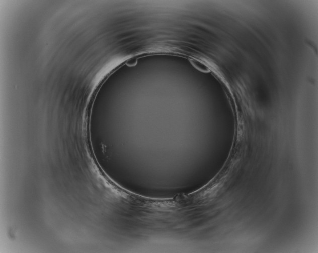 X0000103431053200809121325