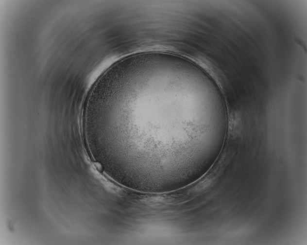 X0000103431054200809121325