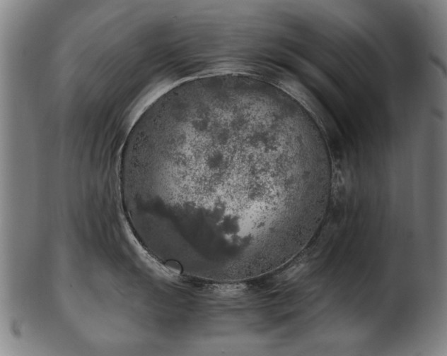 X0000103431055200809121325