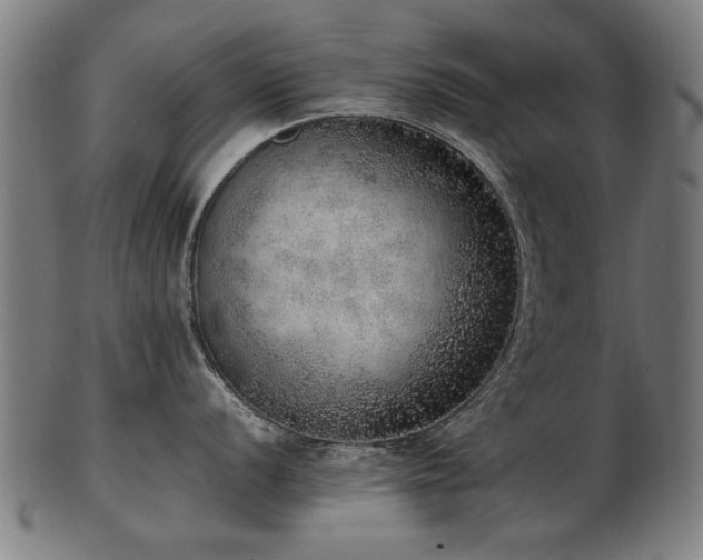 X0000103431056200809121325