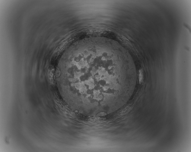 X0000103431059200809121324