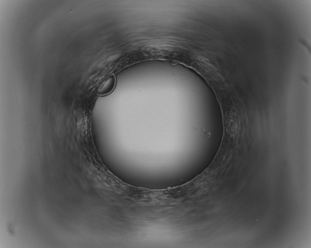 X0000103431061200809121324