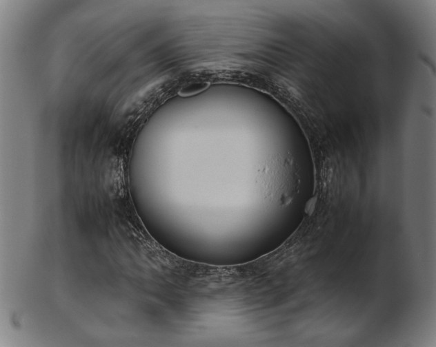 X0000103431062200809121324
