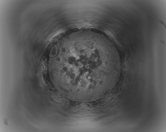 X0000103431063200809121324