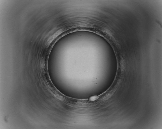 X0000103431065200809121324