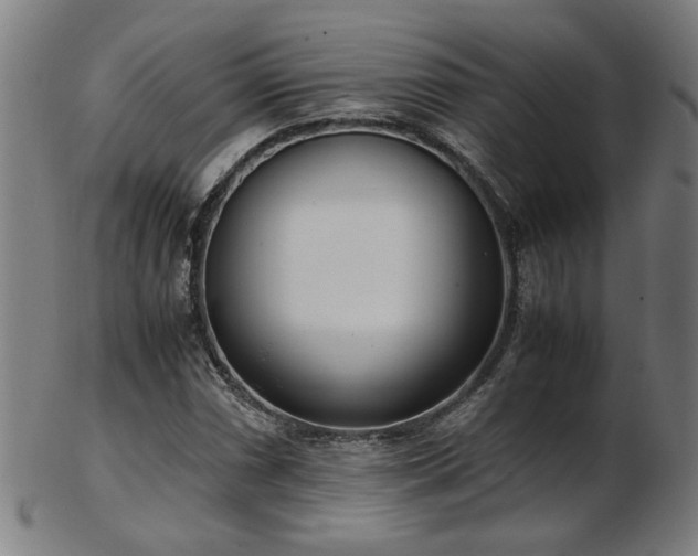 X0000103431066200809121324