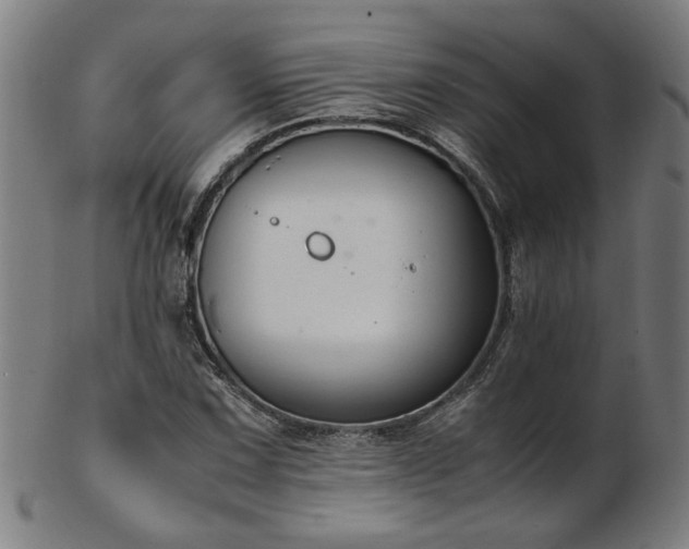 X0000103431067200809121324