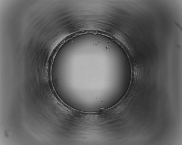 X0000103431068200809121324