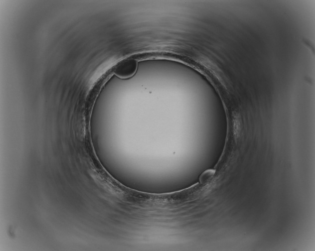 X0000103431069200809121324