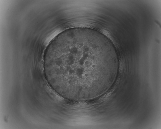 X0000103431071200809121324