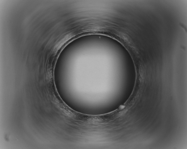 X0000103431073200809121324