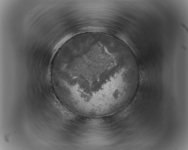 X0000103431074200809121324