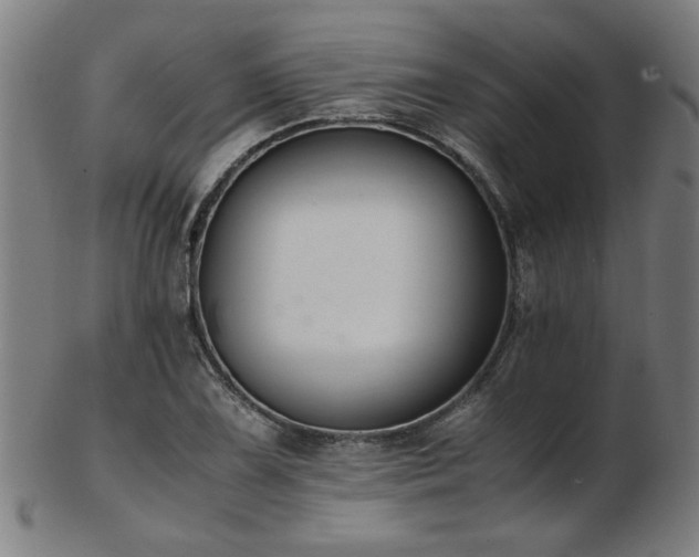 X0000103431075200809121324