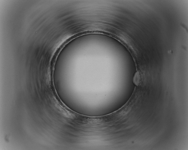 X0000103431076200809121324