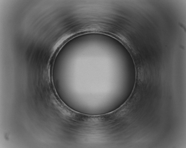 X0000103431078200809121324