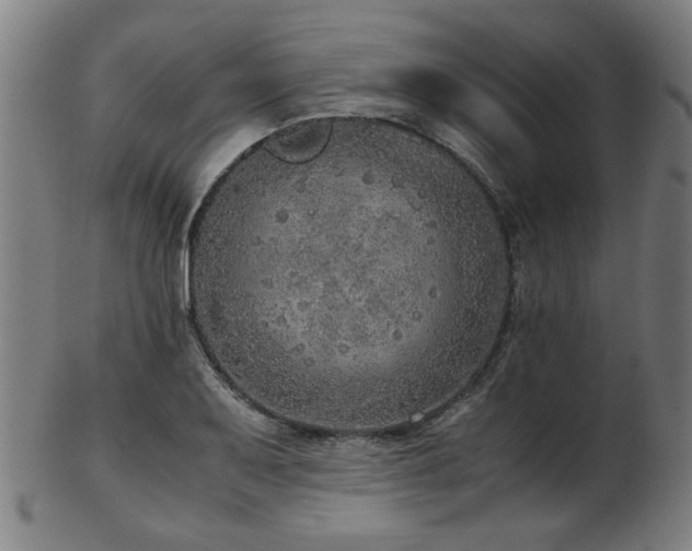 X0000103431079200809121324