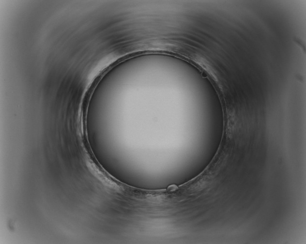 X0000103431080200809121324