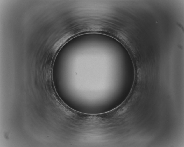 X0000103431081200809121324
