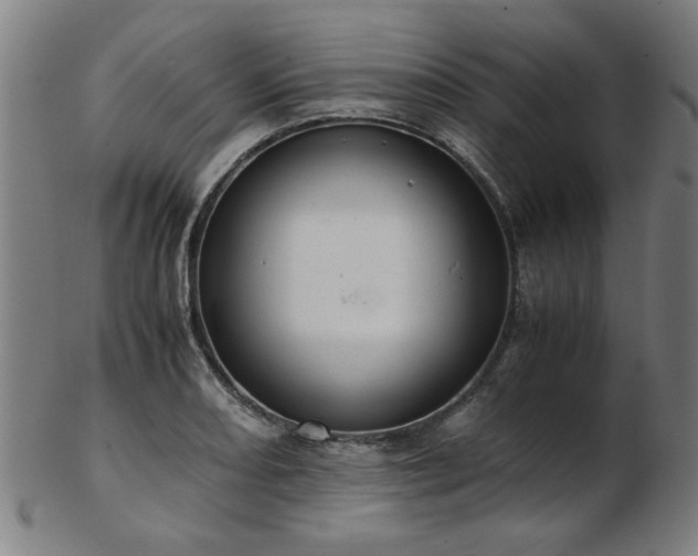 X0000103431082200809121324