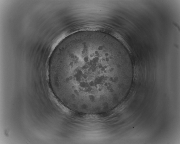 X0000103431083200809121324