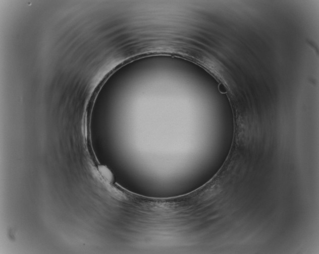 X0000103431084200809121324