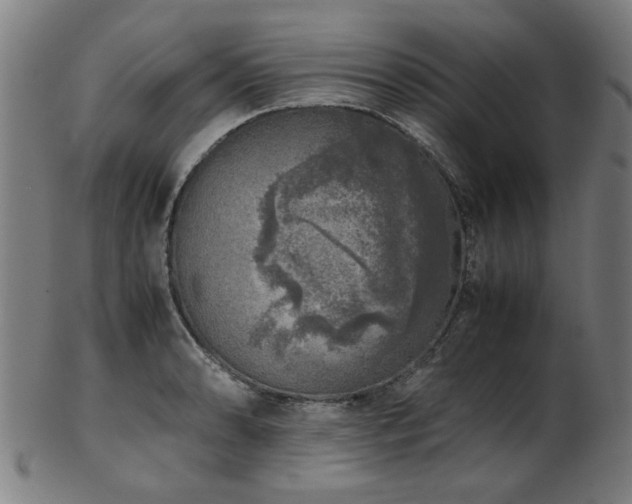 X0000103431086200809121324
