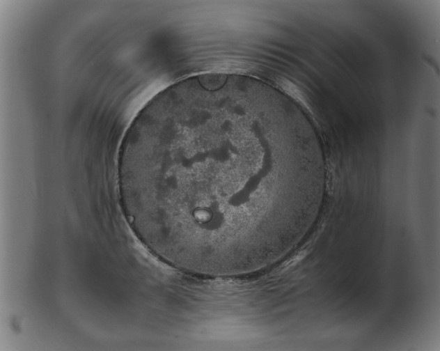 X0000103431087200809121324