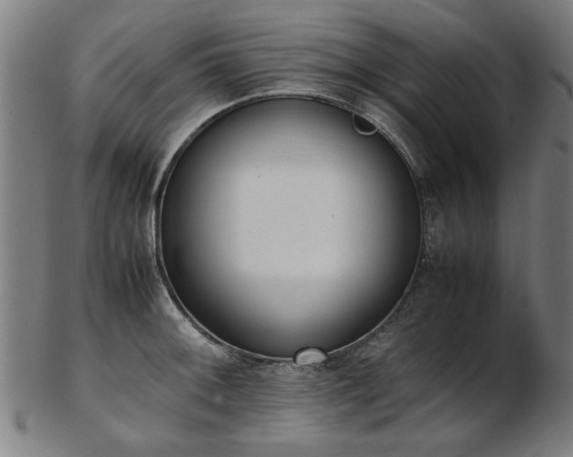 X0000103431092200809121324