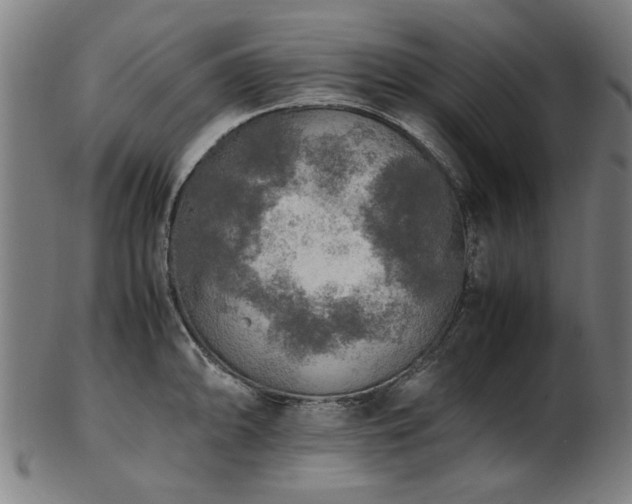 X0000103431094200809121324