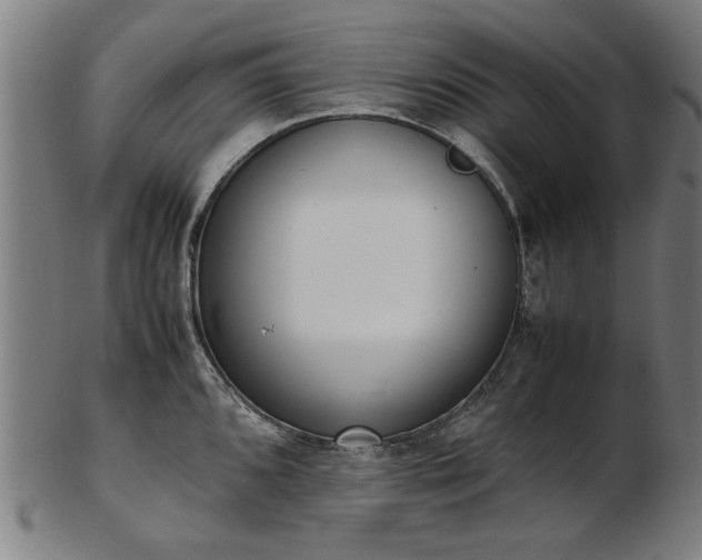 X0000103431096200809121324