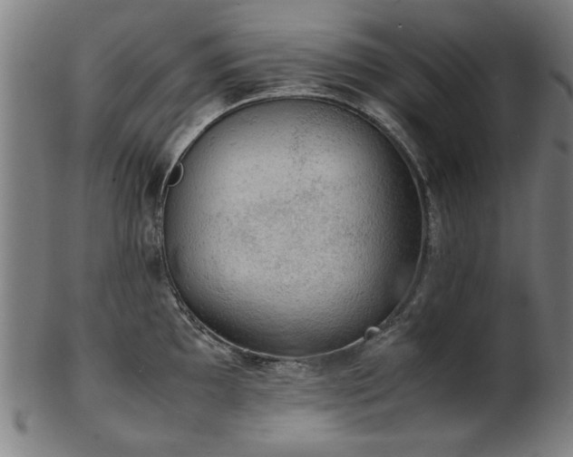 X0000103431097200809121324