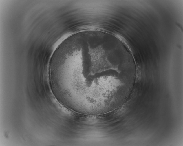 X0000103431098200809121324